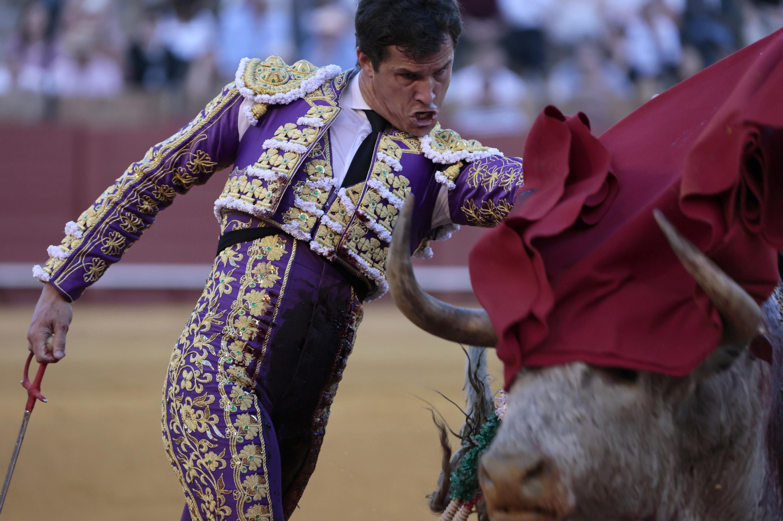 Las fotos del festejo
