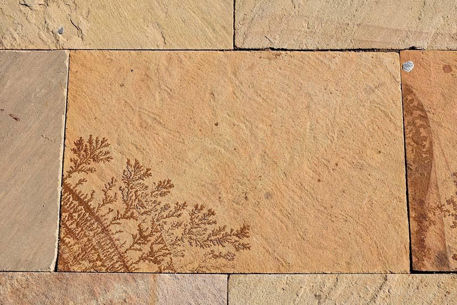 Imágenes del jueves 2 de mayo en Huelva