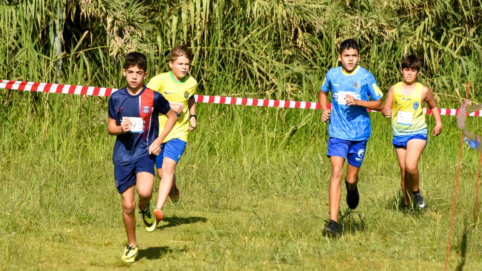 Las fotos del  V cross 'Con el Mar de Fondo' de los Juegos Municipales de atletismo de Algeciras
