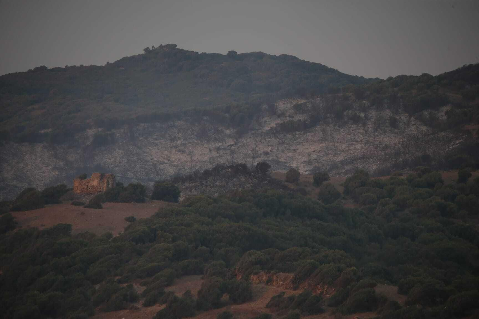 Las fotos del incendio entre las Pantallas y la Marchenilla, en Algeciras