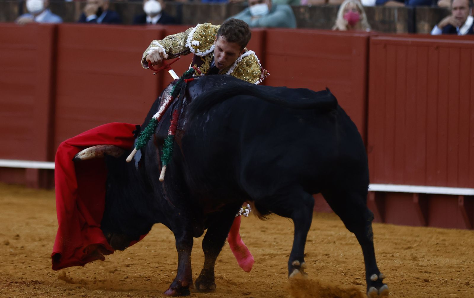 Fotos de la segunda novillada de la feria de San Miguel de Sevilla