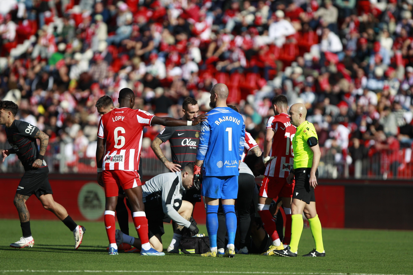Imágenes del partido U.D. Almería-R.C.D. Mallorca
