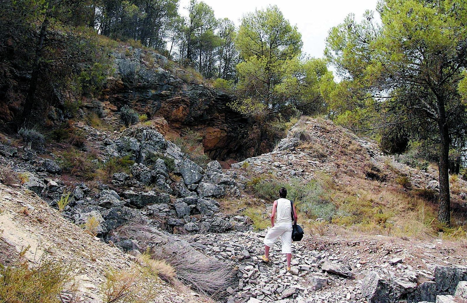 Una de las estampas que se pueden ver durante el recorrido.