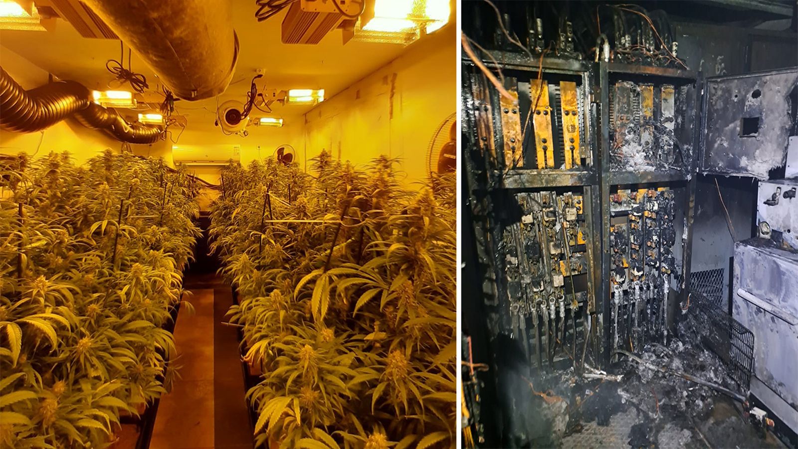 Una plantación indoor de marihuana y un centro de transformación tras una sobrecarga