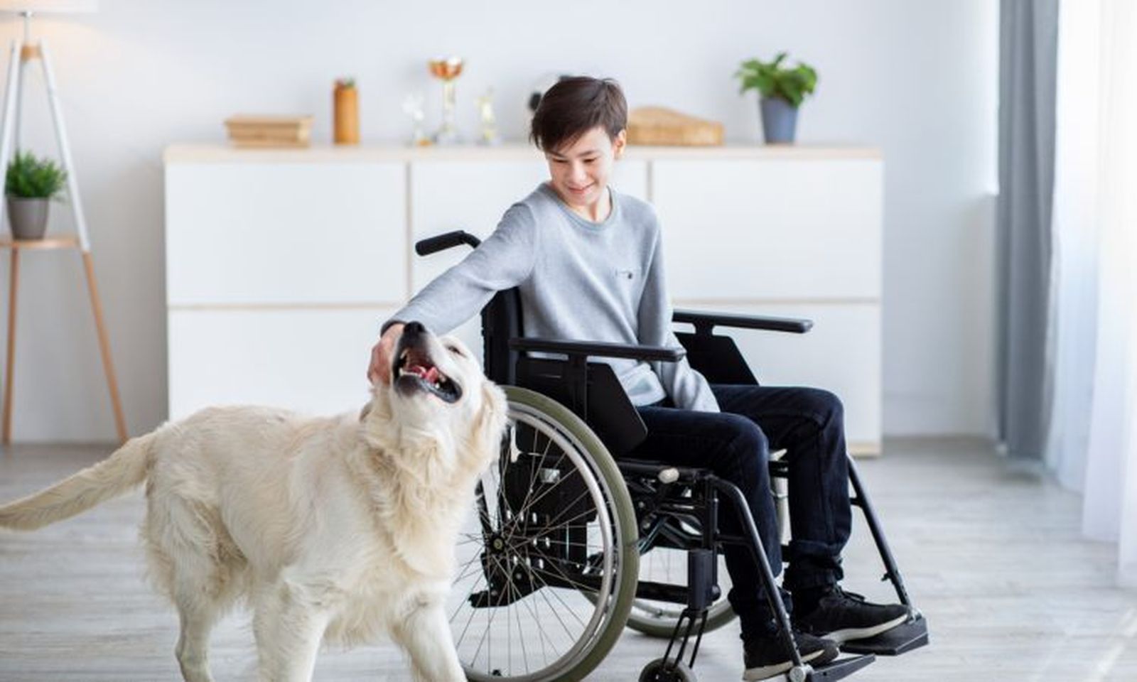 Dos hospitales andaluces tendrán terapias con animales