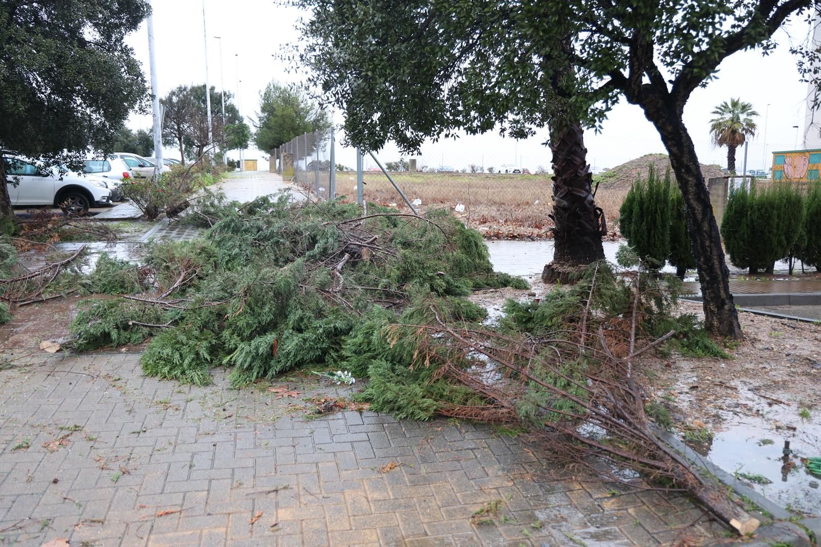 Fotografías de los destrozos de la borrasca Kristin en Huelva este miércoles