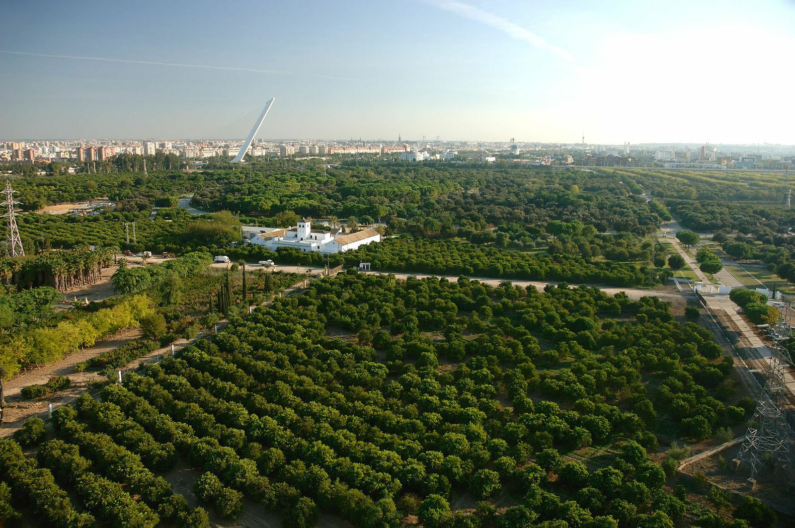 Vista aérea del Parque del Alamillo, con el vivero detras el Cortijo del Alamillo.