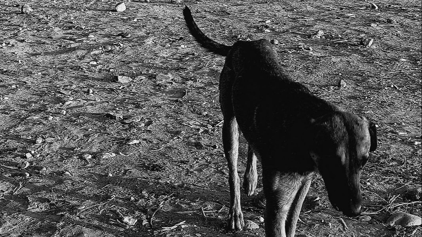 Una de las obras expuestas en la muestra.