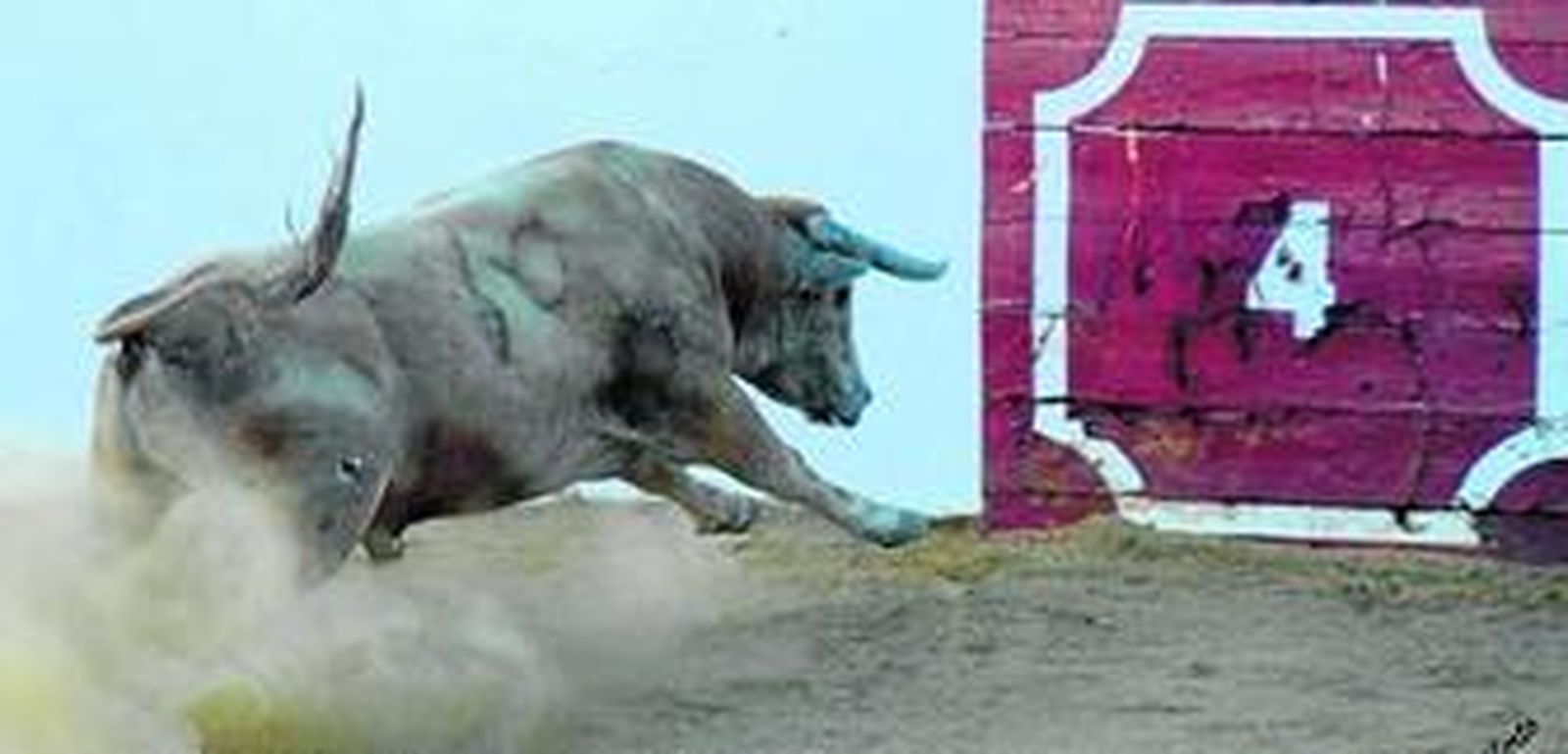 Uno de los toros de Prieto de la Cal remata con brío ante el burladero tras ser desembarcado.