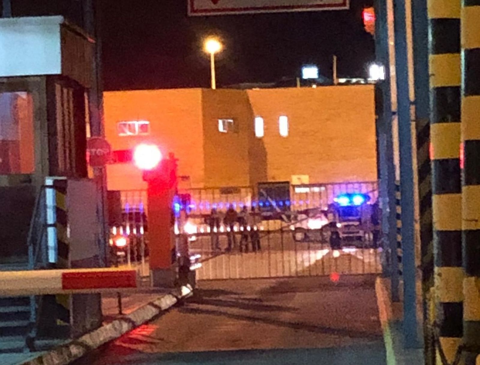 Varios agentes, en un control del Puerto.