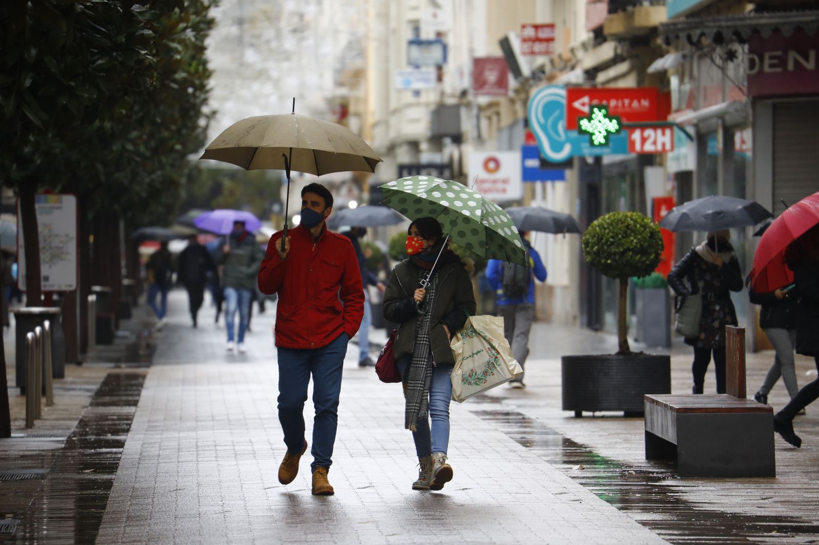 Las fotografías del paso de la borrasca Filomena por Córdoba