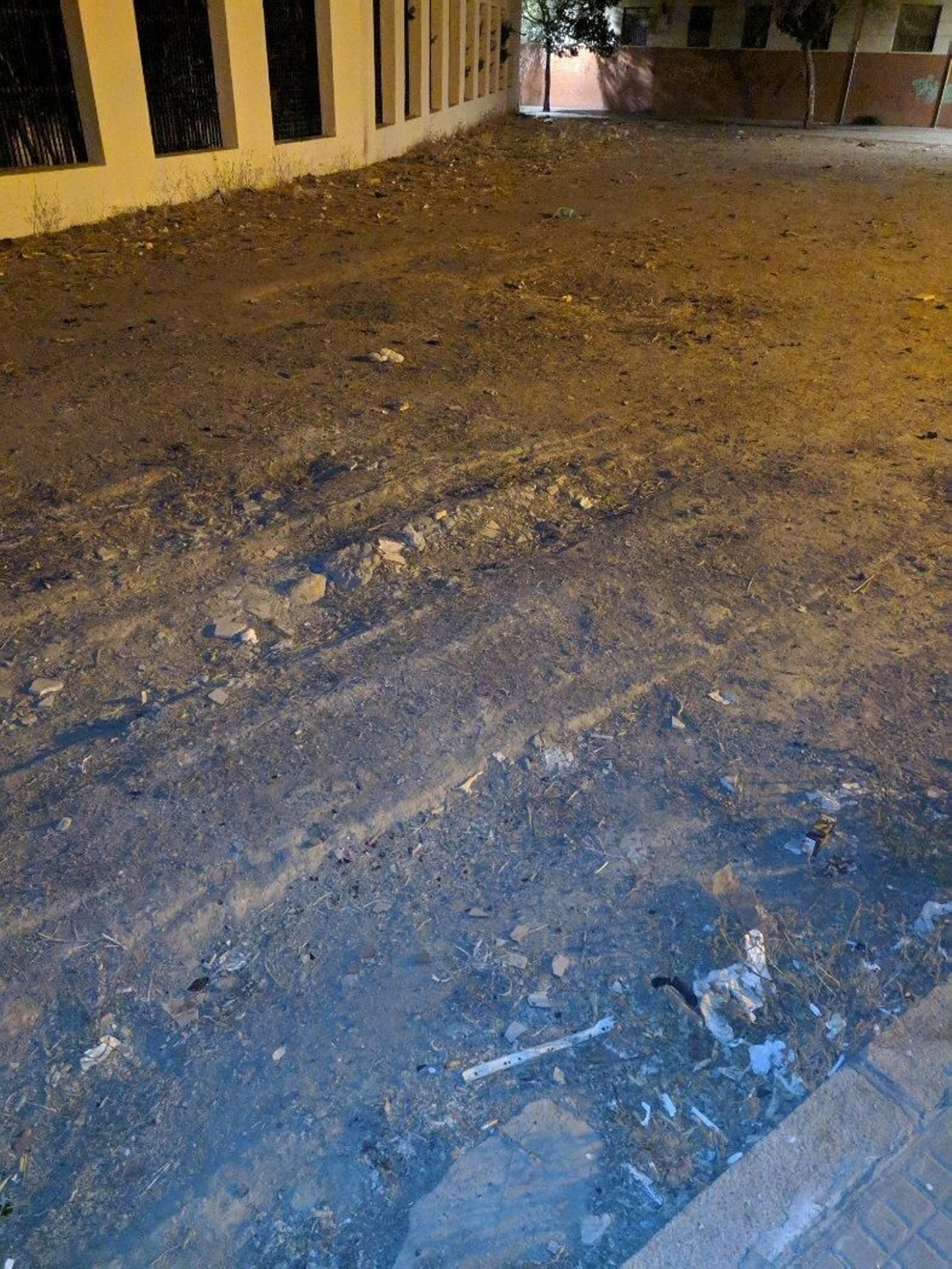 Galería de imágenes de la suciedad en distintos puntos de la ciudad.