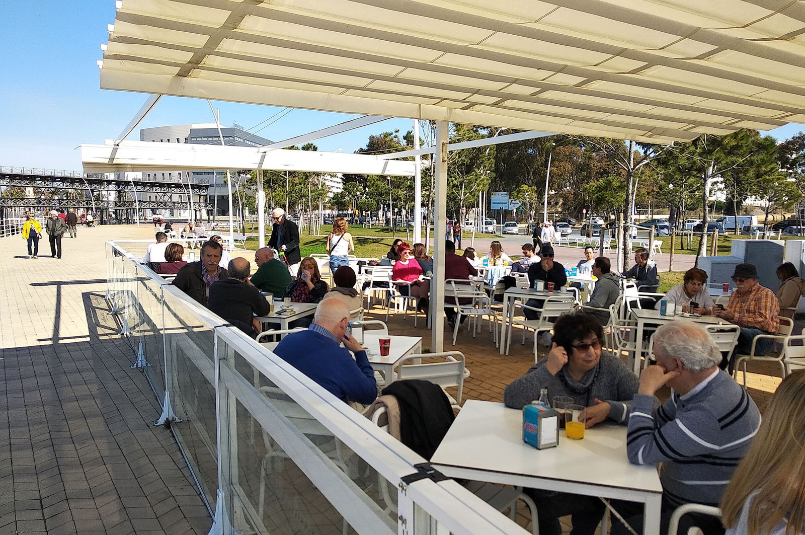 Ambiente primaveral en el día de Andalucía, en imágenes