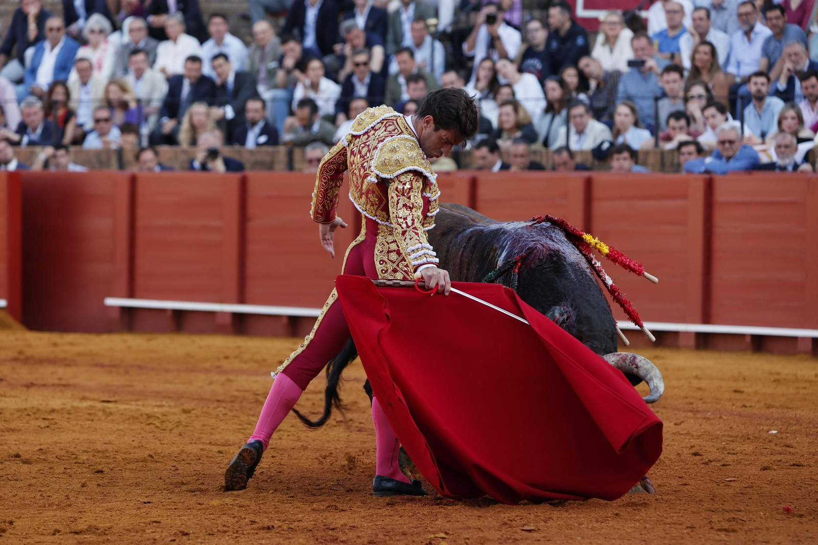 Las imágenes del festejo