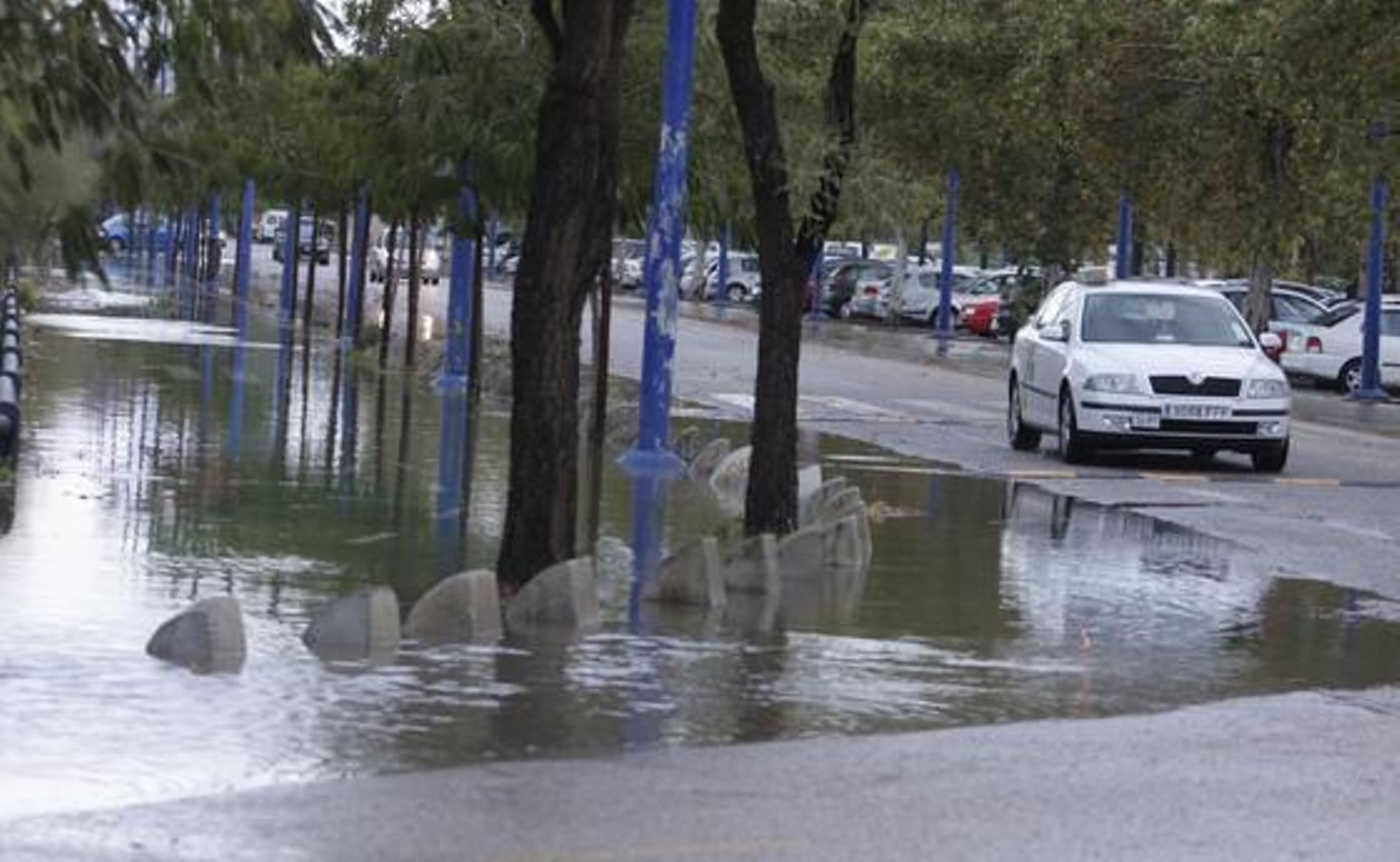 Imagen de una calle de la Cartuja.

Foto: Victoria Hidalgo/Jaime Martínez