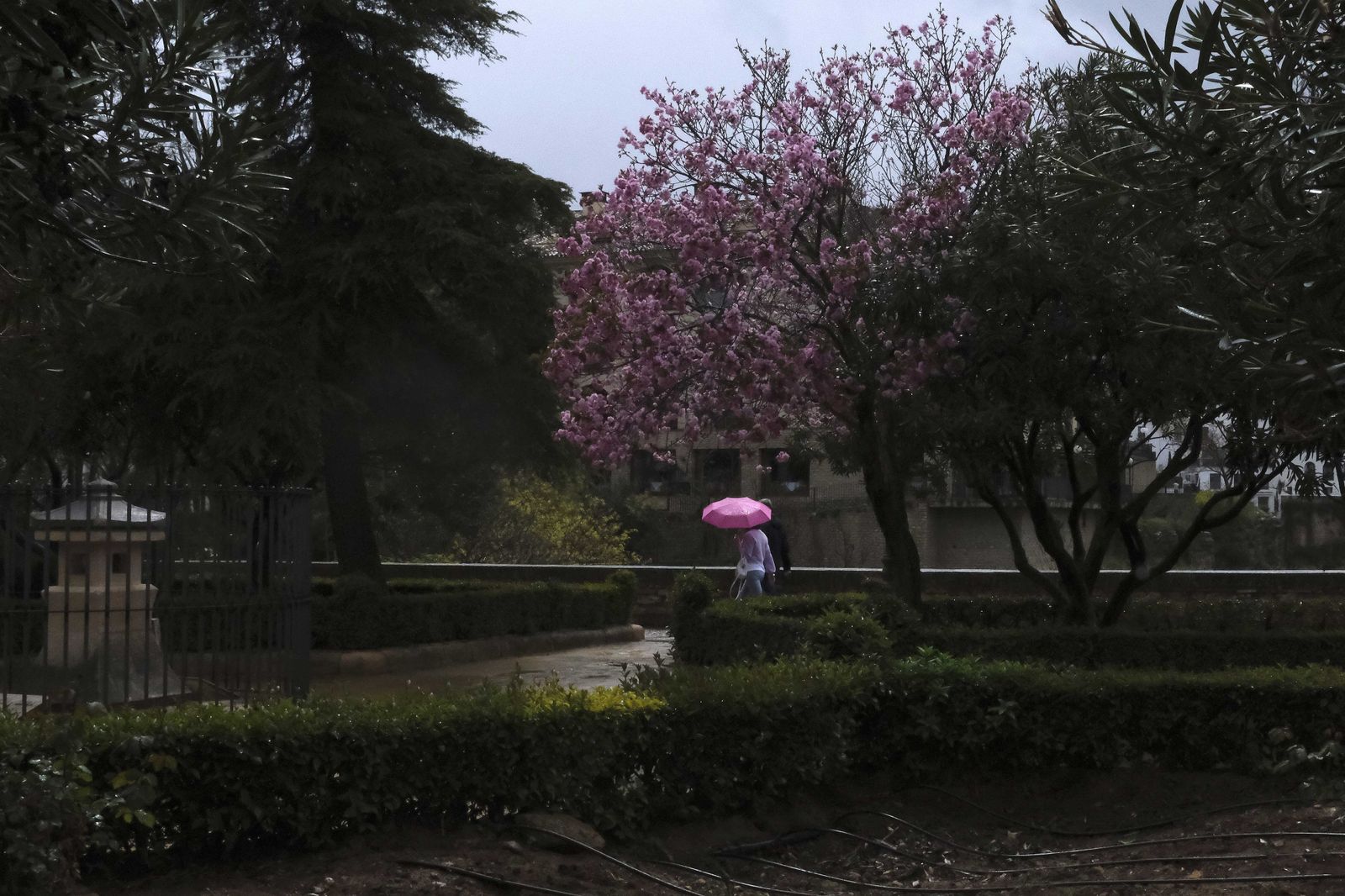 Turistas paseando en los jardines de Blas Infante