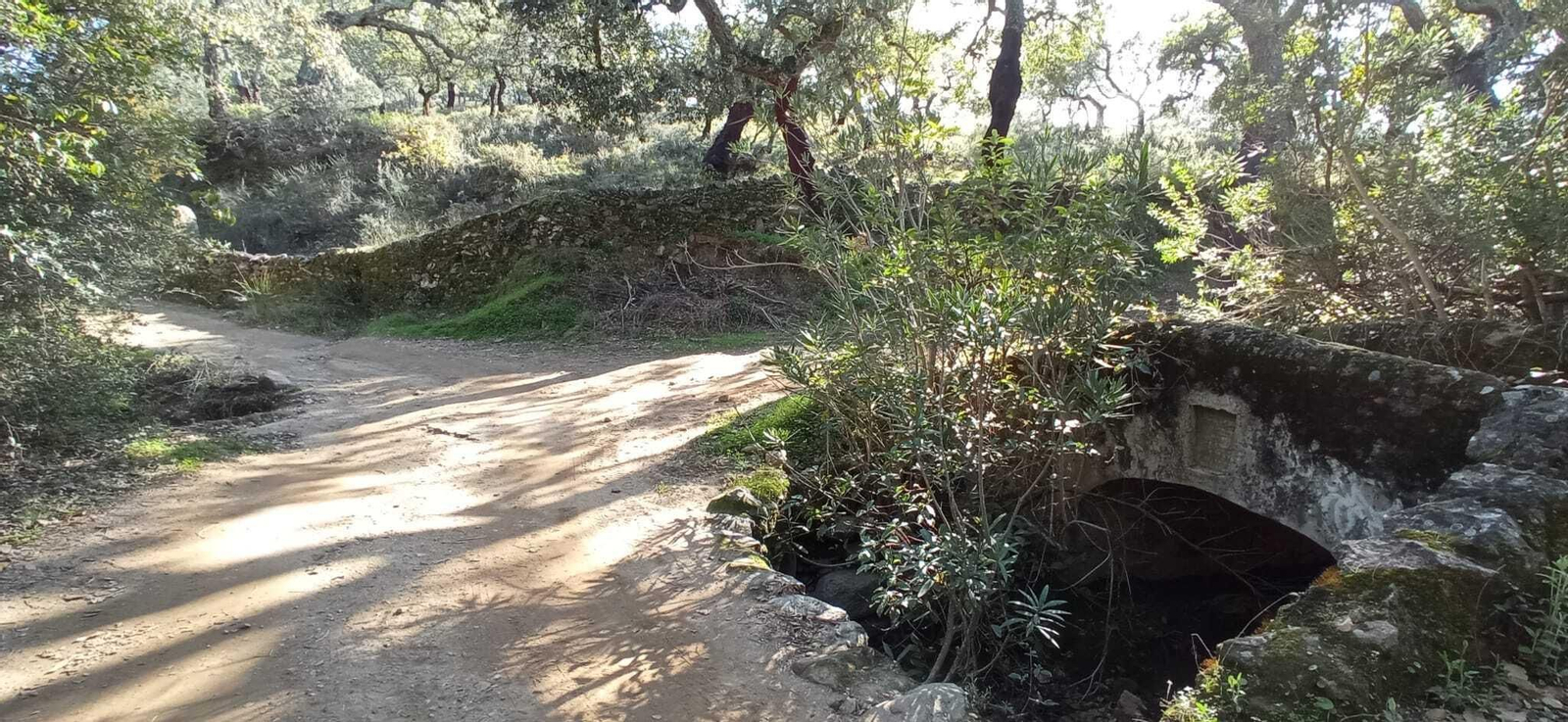 Fotos de la Ruta circular Aracena-Linares de la Sierra-Aracena