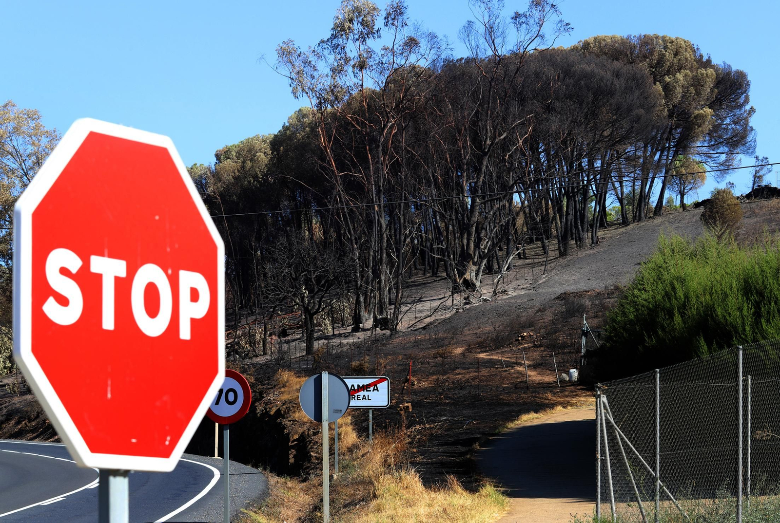 Imágenes de las zonas devastadas por el incendio de Almonaster la Real