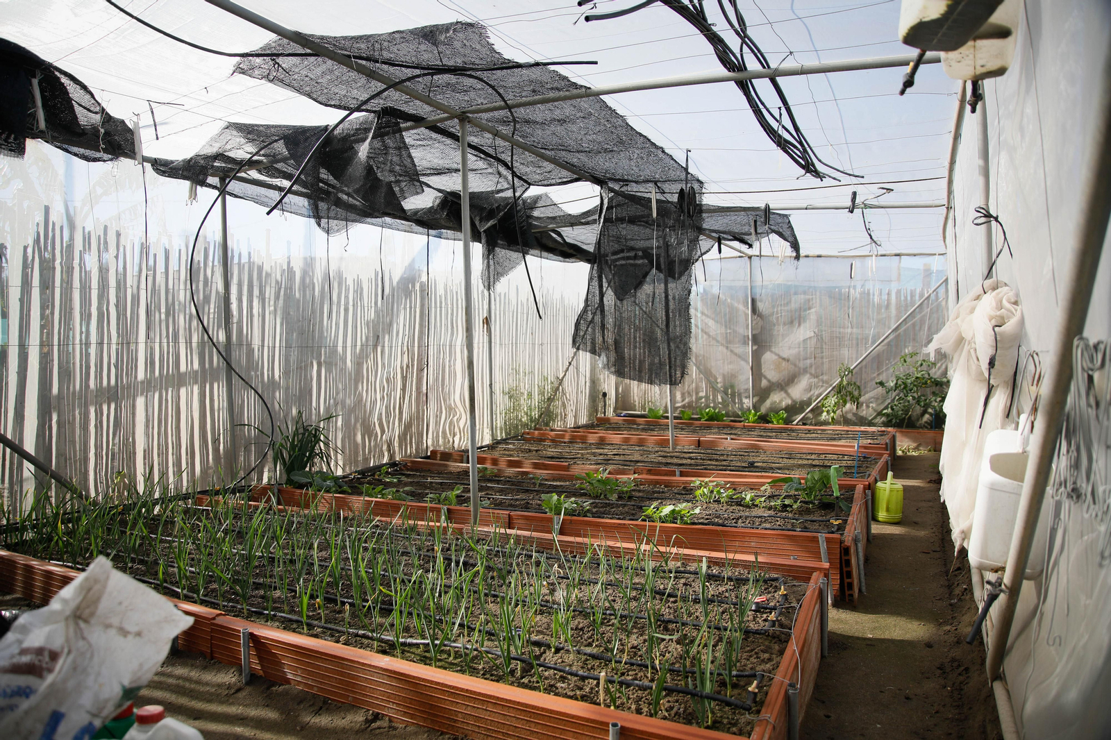 Imágenes del huerto urbano de La Cañada