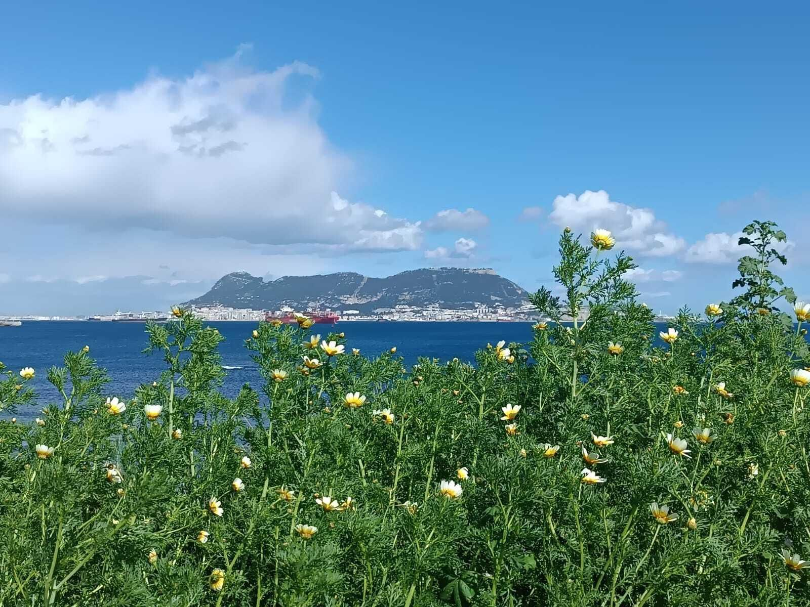 El Parque del Centenario rebosa de colores en primavera