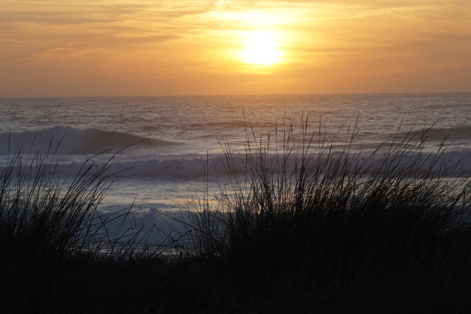 Tarde invierno en El Palmar