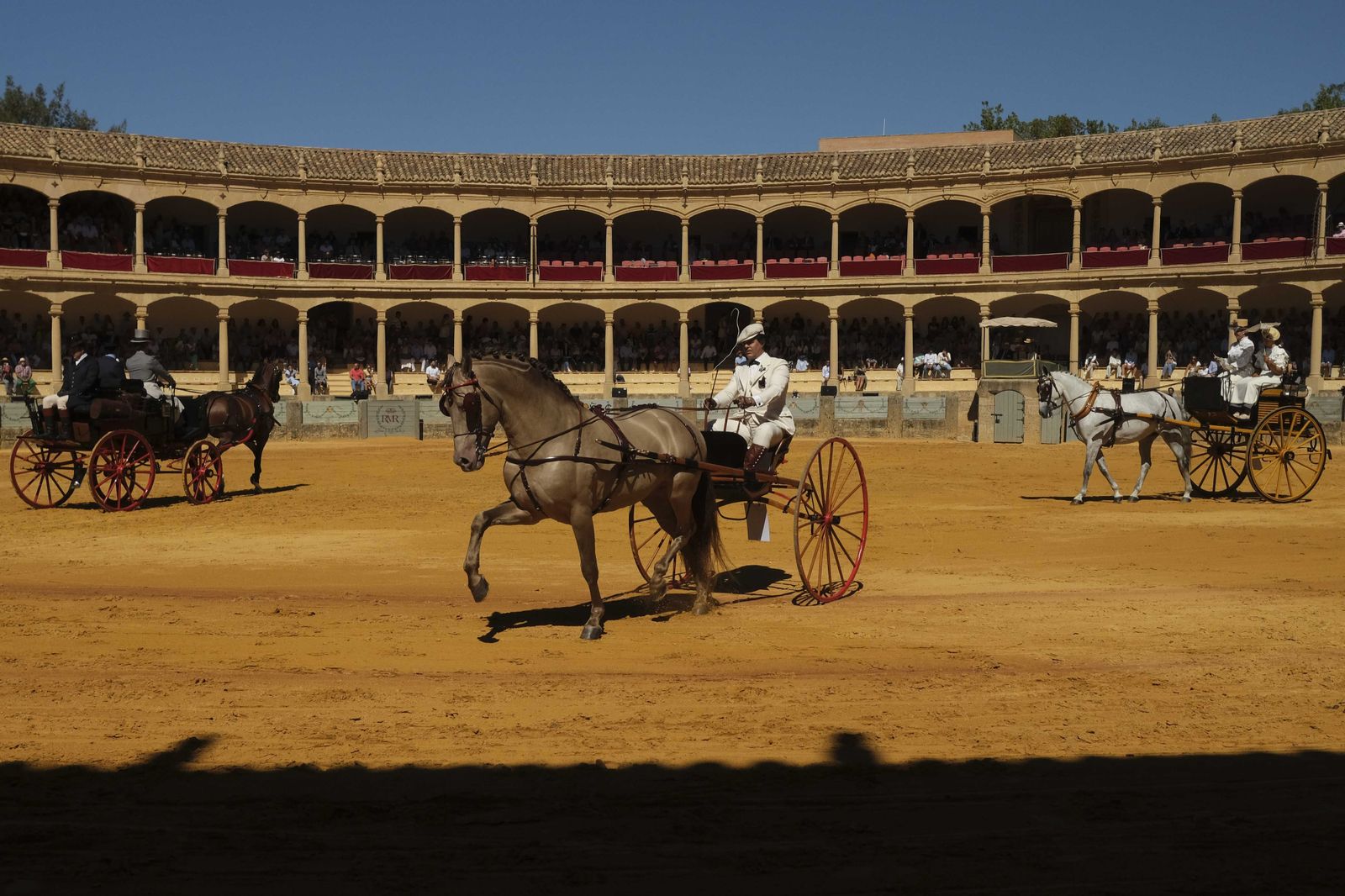 Concurso de enganches de Ronda, en fotos.