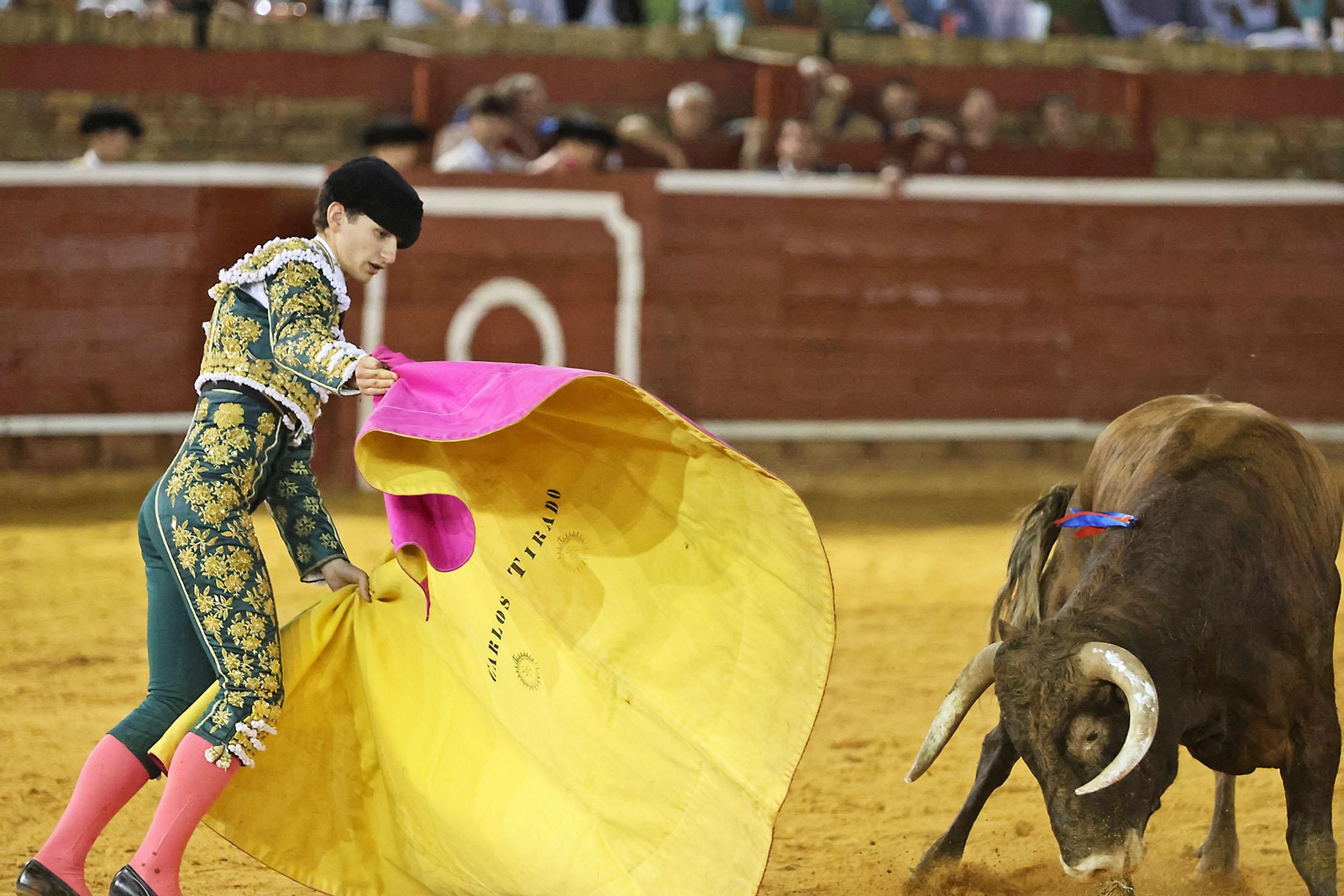 Toros La Merced 2024 Novillada con picadores(