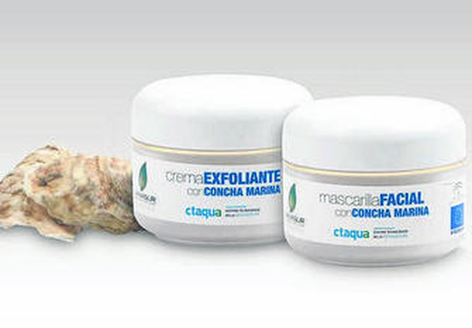 Imagen de la crema lograda a partir de los ostiones.