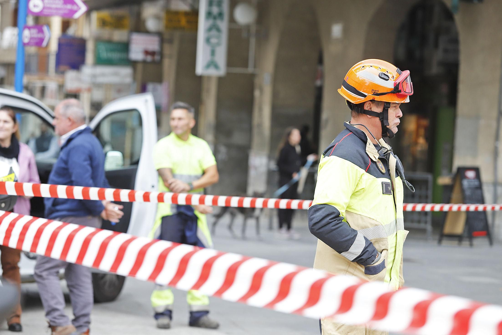 La palmera de Huelva es sometida a una inspección y posterior poda tras el paso del último temporal