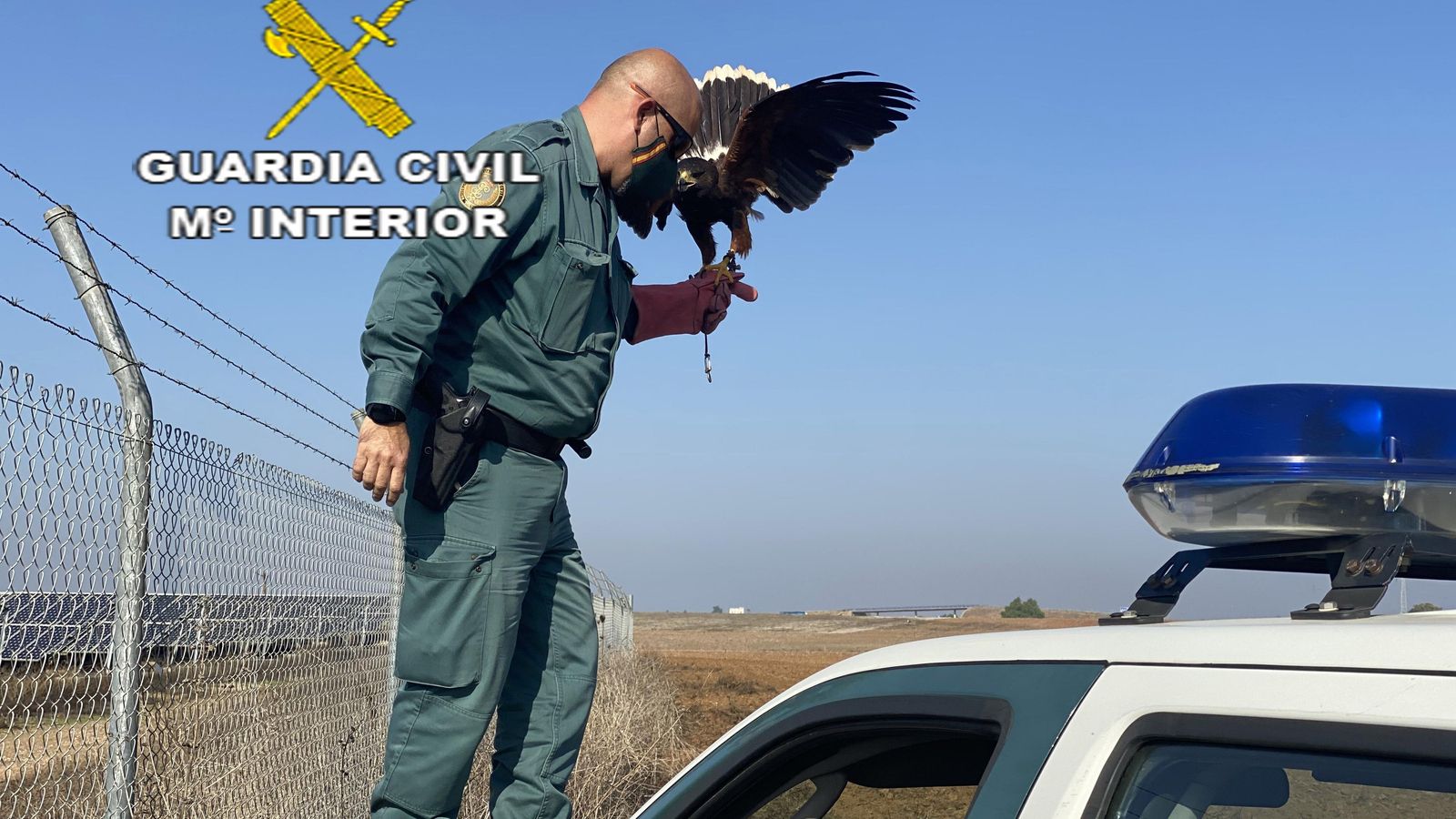 El agente, con el halcón una vez liberado.