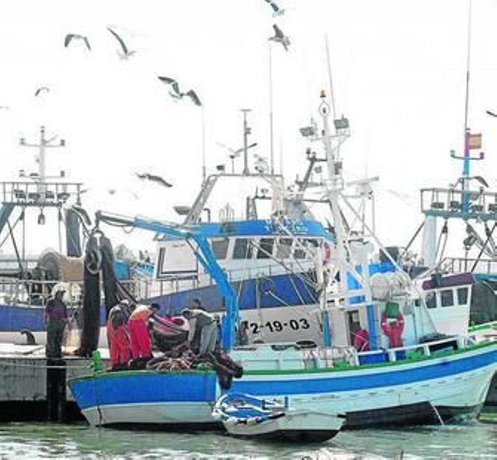 Pesqueros en el puerto de Isla Cristina.