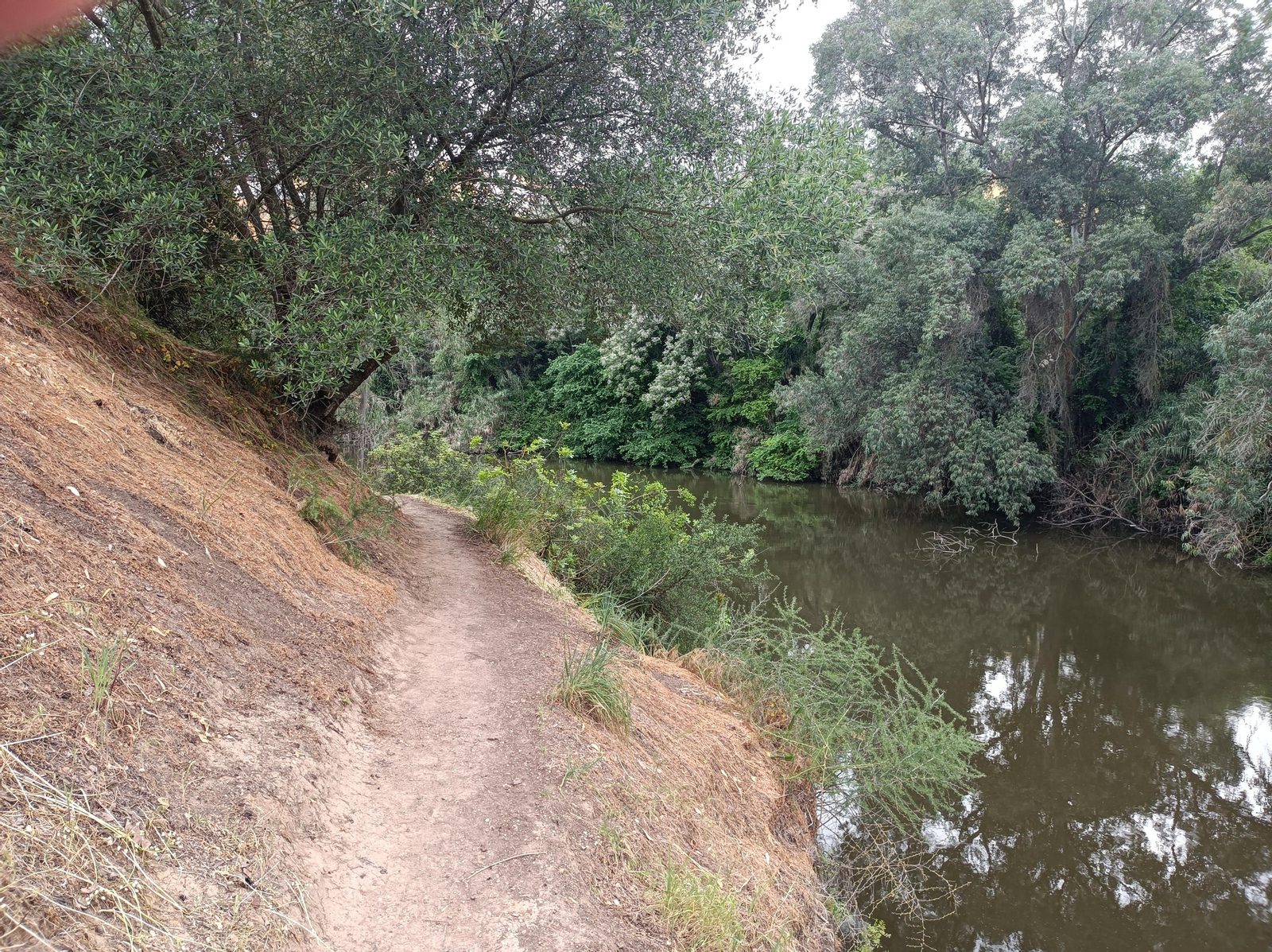 Ruta por el Guadaíra, en Alcalá