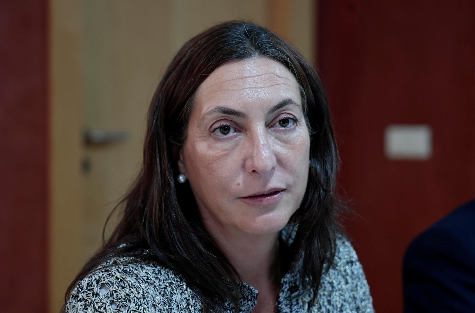 Dña. Loles López, consejera de Inclusión Social, Juventud, Familias e Igualdad de la Junta de Andalucía