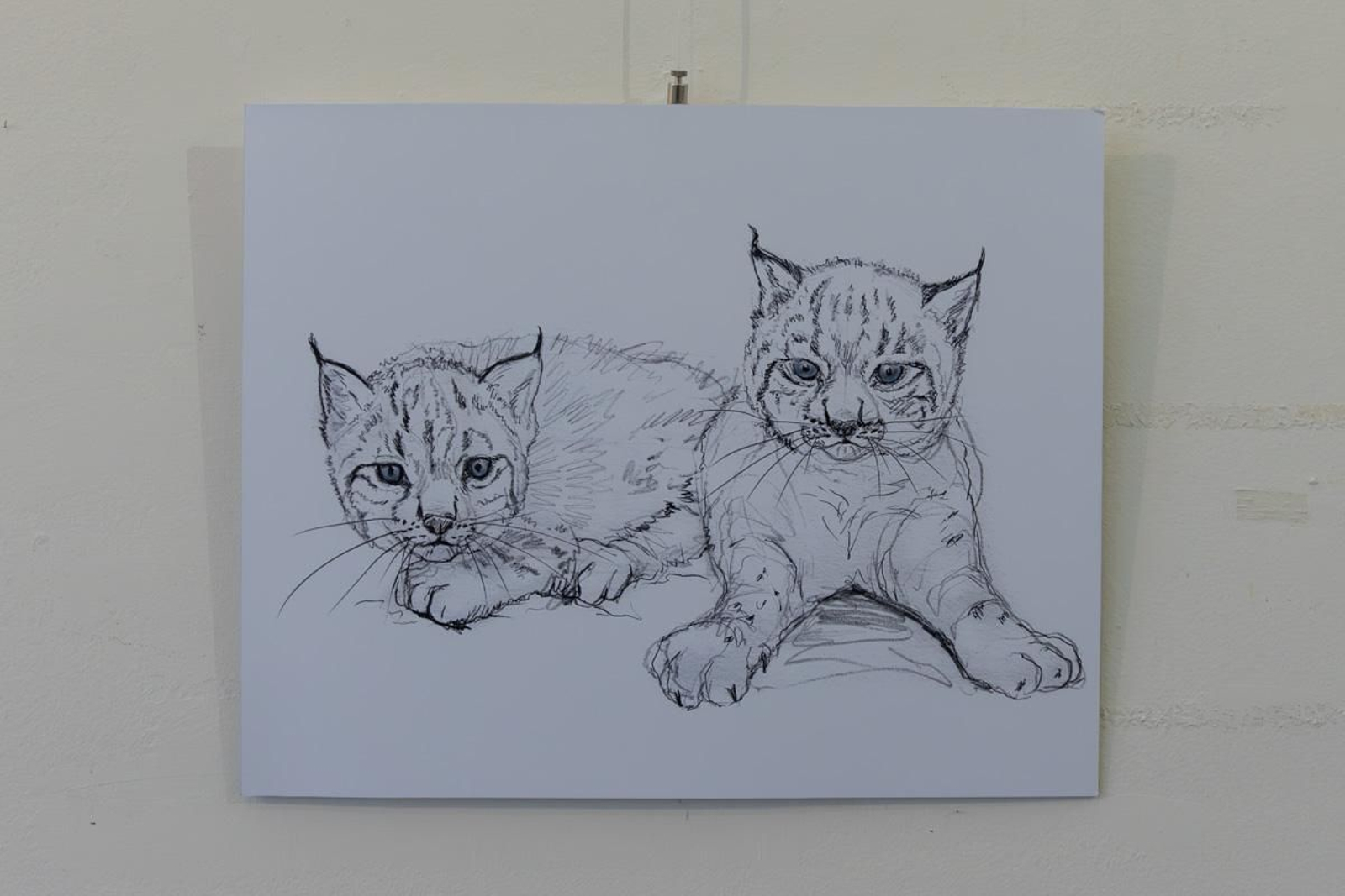 Exposición Los pinceles del lince ibérico, en imágenes