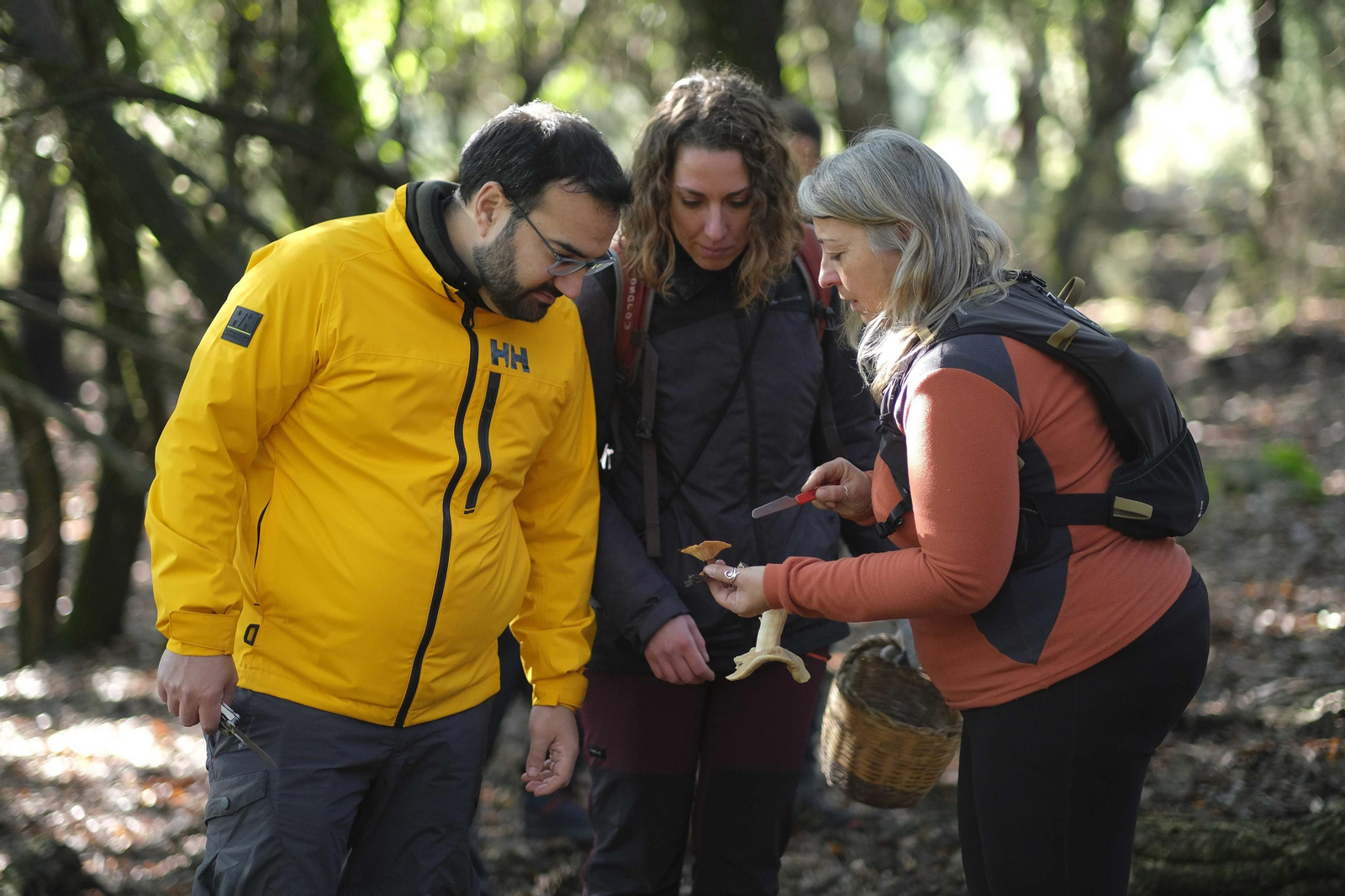 Mocología de la Serranía de Ronda, en fotos.