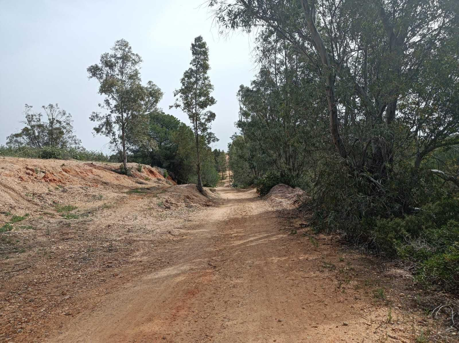 El camino se ondula más a partir del tercer kilómetro.