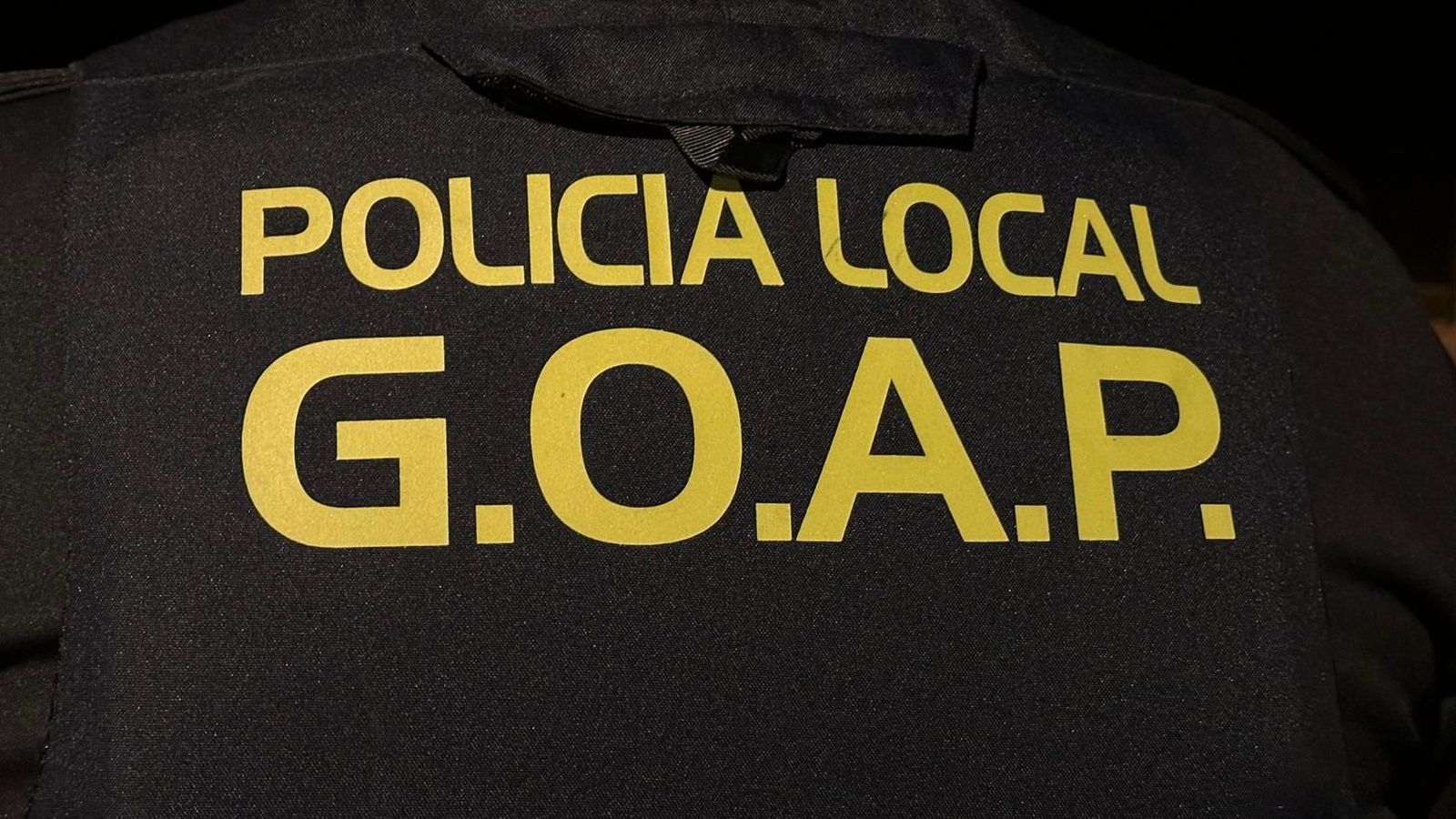 Agentes del Grupo Operativo de Apoyo y Prevención (GOAP) de la Policía Local de Los Barrios.