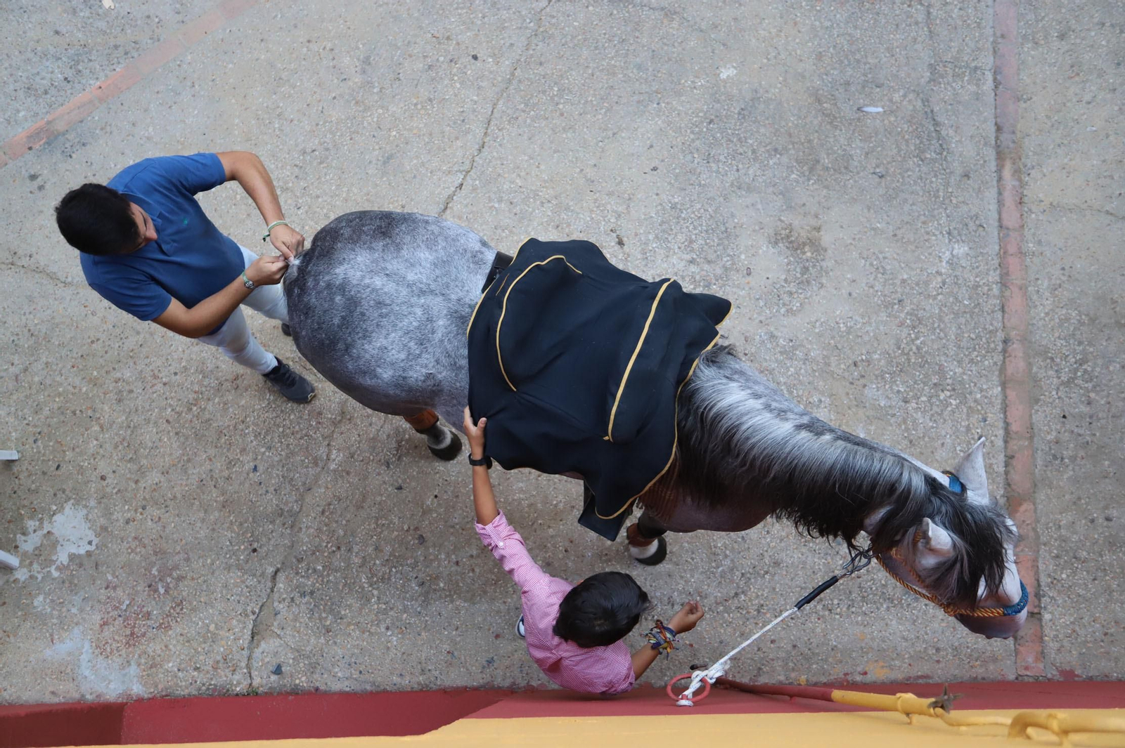 Imágenes de la clase de rejoneo de Andrés Romero en la Plaza de Toros