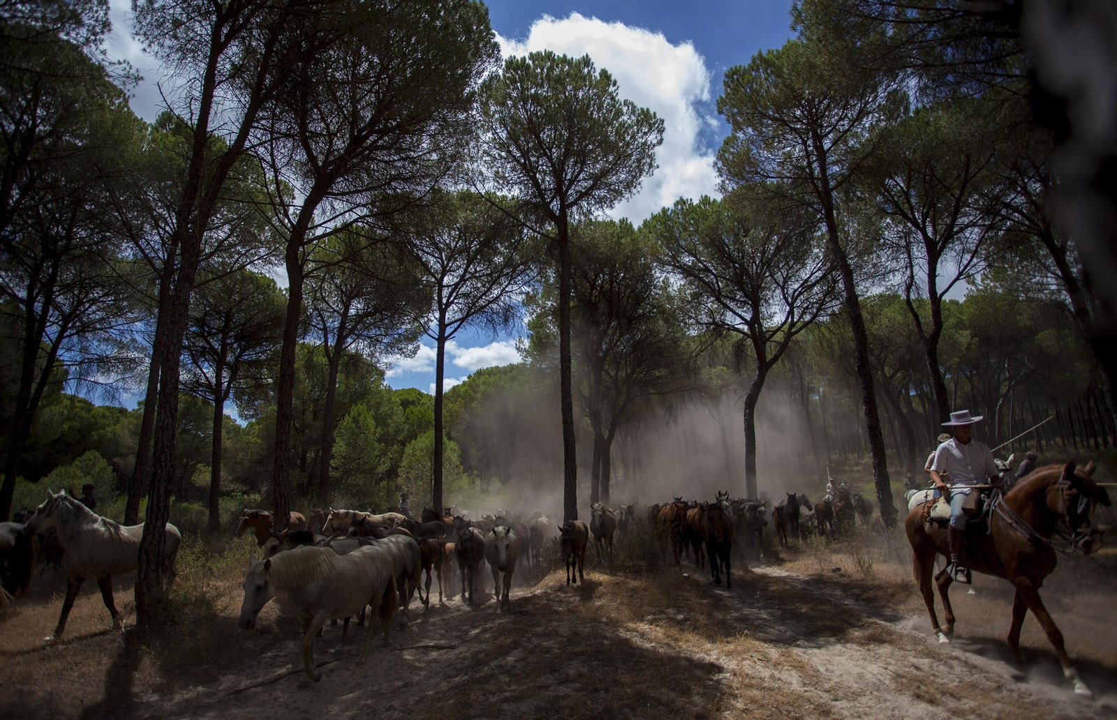La Saca de las Yeguas, en imágenes