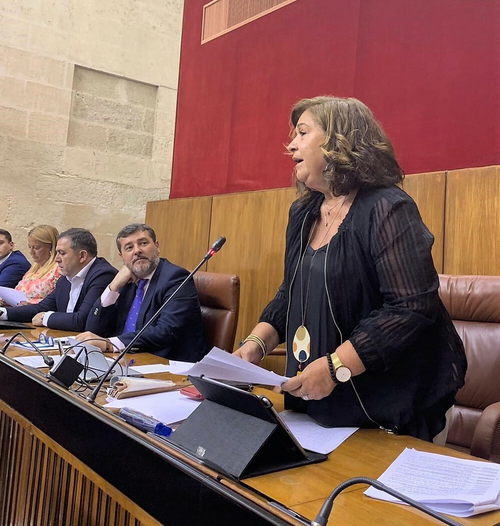 Intervención de Carmen Céspedes en el Parlamento andaluz.