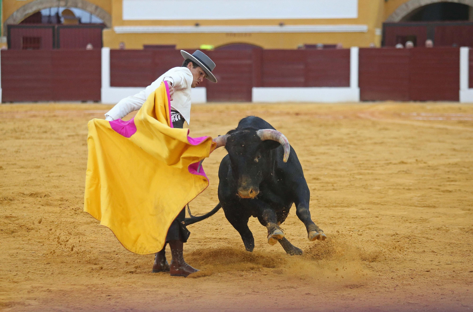 Fotos del festival taurino benéfico en La Línea