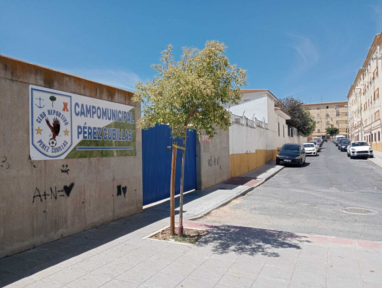 Campo de fútbol de Pérez Cubillas.