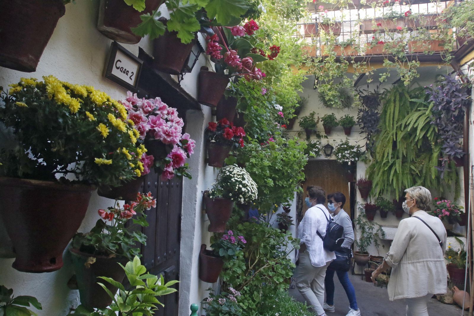 Los Patios en otoño, en fotografías