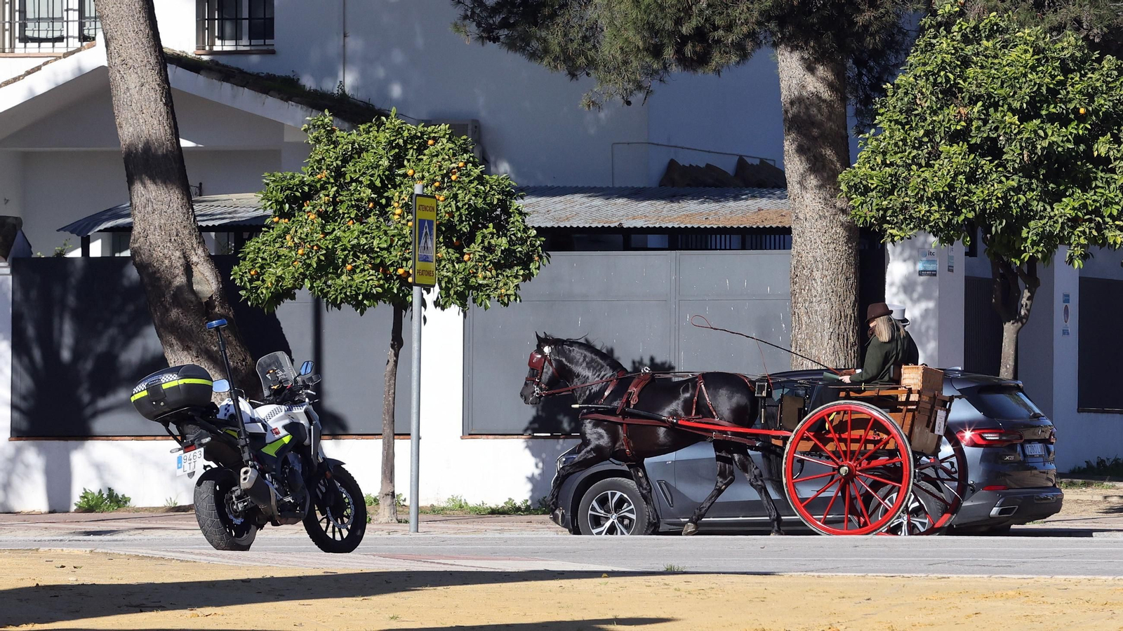 Concurso de enganches por las calles de Jerez