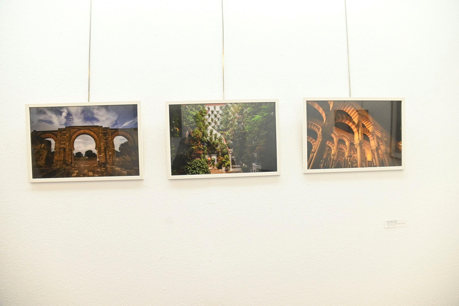 La exposición de fotografía del alumnado de la Escuela de Arte Mateo Inurria, en imágenes