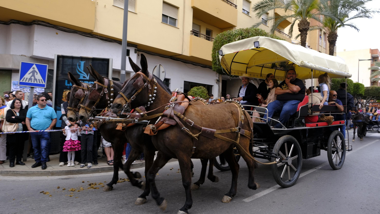 Las mejores imágenes de la procesión de San Marcos en Ejido