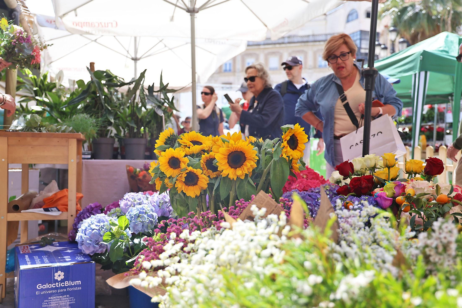 Imágenes del mercado floral ubicado en la Plaza de las Monjas de Huelva