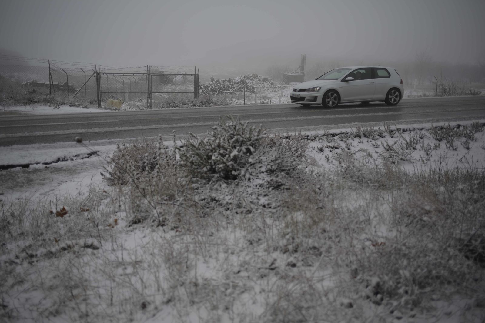 La nevada en el interior de Málaga, en imágenes