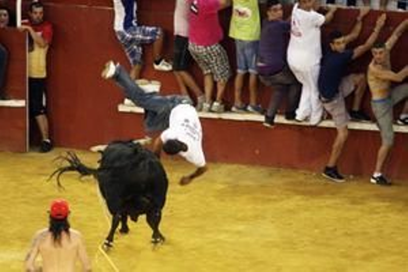Con la suelta del llamado Toro del Aguardiente se pone el broche de oro a la feria de la localidad. No hubo que lamentar graves incidentes./Fotos:Paco Guerrero

Foto: Paco Guerrero