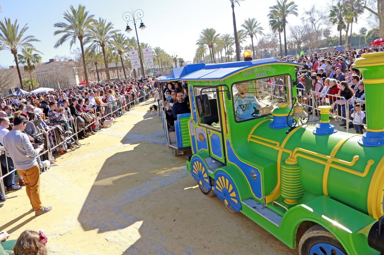 Imágenes de San Antón 2020 en Jerez